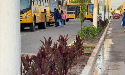 Serra do Mel investe em arborização para promover bem-estar e sustentabilidade