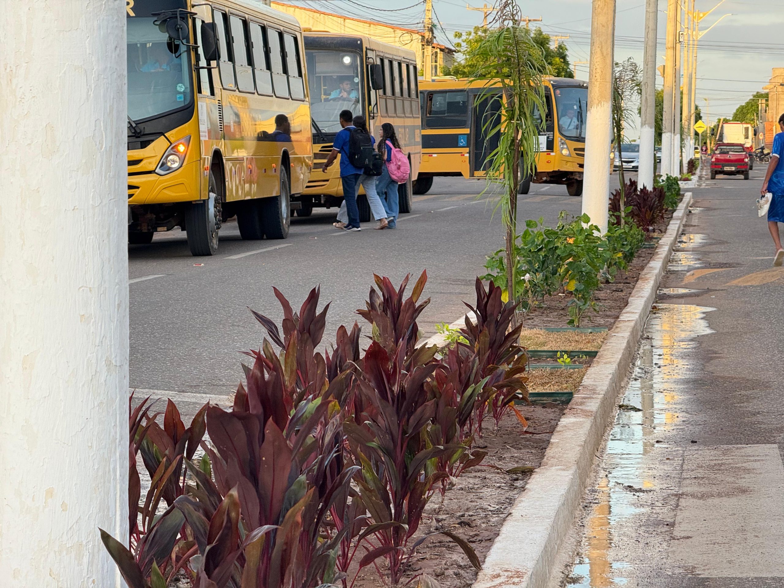 Serra do Mel investe em arborização para promover bem-estar e sustentabilidade