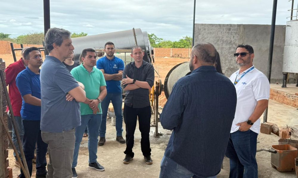 Serra do Mel pode firmar parceria com Instituto Riachuelo e Sebrae para reaproveitamento da poda do caju e subprodutos