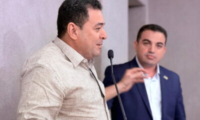 Castanha da Serra do Mel ganha selo de Indicação Geografia